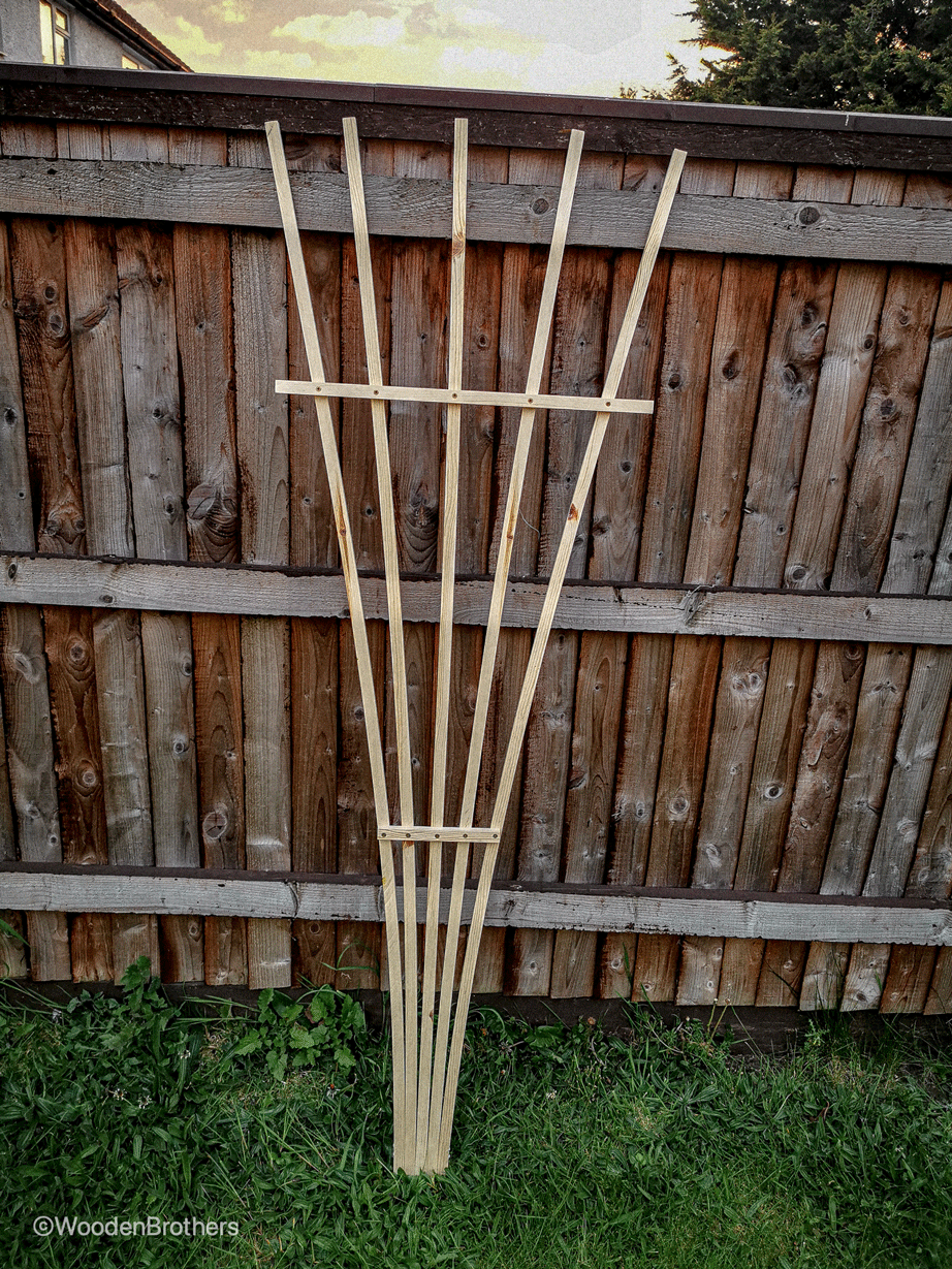 wooden fan trellis Garden fan trellis